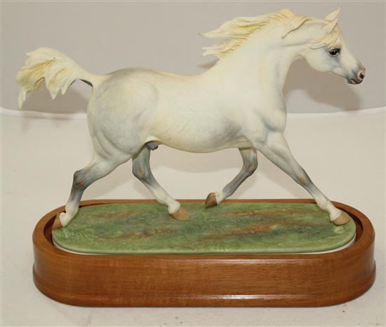 A Royal Worcester model of an Arab Stallion, modelled by Doris Lindner, c.1963, 29.5cm